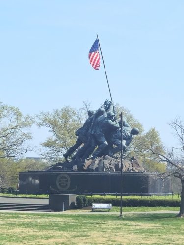 20260331 114747-3060x4080