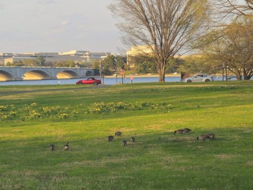 20260331 183802-4080x3060