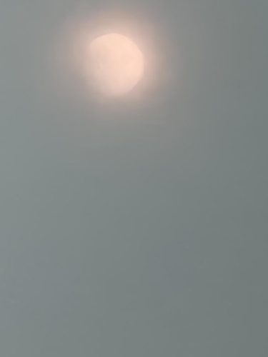 20260727 213854-1500x2000